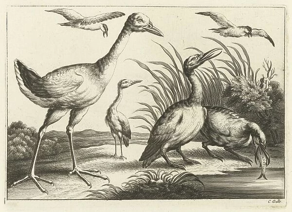 Waterfowl, print maker: Pieter van Lisebetten, Wenceslaus Hollar, Francis Barlow