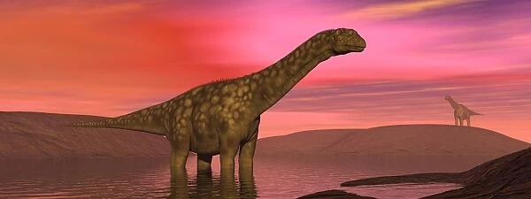 Argentinosaurus dinosaurs amongst a colorful red sunset