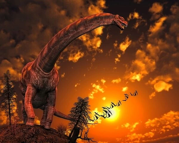 Argentinosaurus, a titanosaur sauropod dinosaur from Argentina