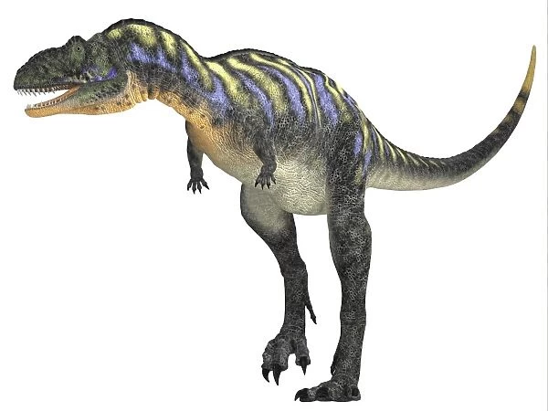 Aucasaurus dinosaur