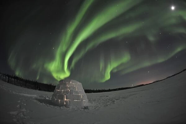 Aurora borealis over an igloo on Walsh Lake, Canada