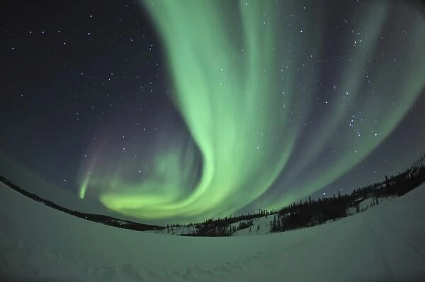Aurora borealis over Prosperous Lake, Canada
