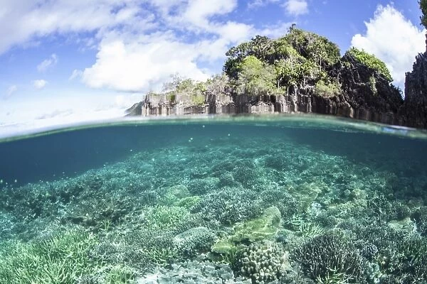 A beautiful coral reef grows near a set of limestone islands in Indonesia