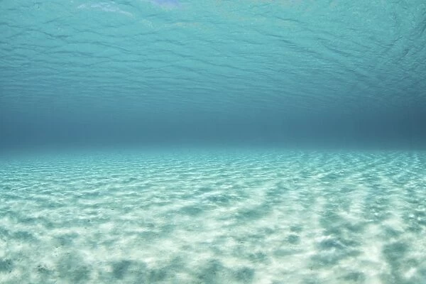 Bright sunlight ripples across a seafloor in the tropical Pacific Ocean