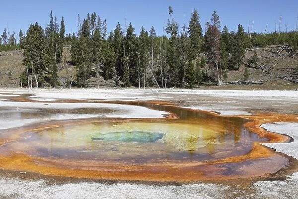 Chromatic Pool Hot Spring, Upper Geyser Basin geothermal area, Yellowstone National Park