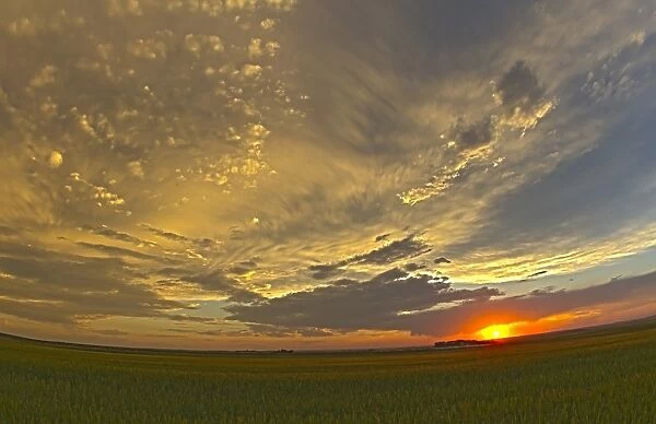 Cloudscape at sunset, Alberta, Canada