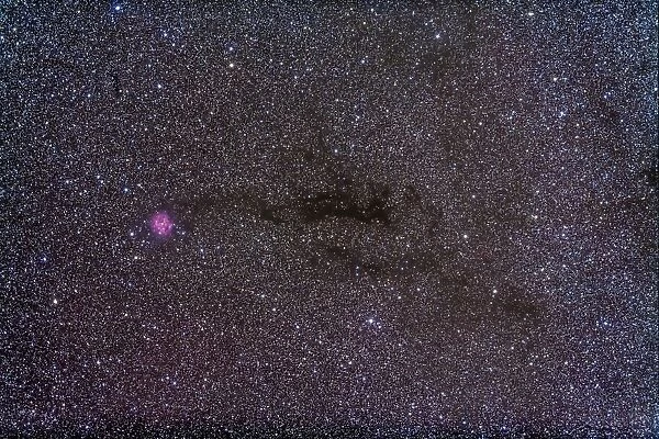The Cocoon Nebula in the constellation Cygnus