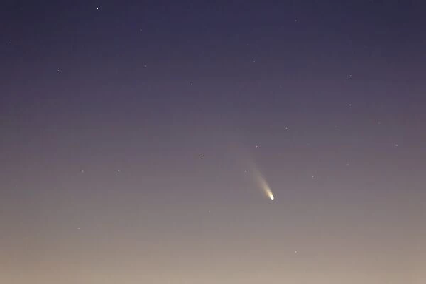 Comet Panstarrs at twilight, Buenos Aires, Argentina