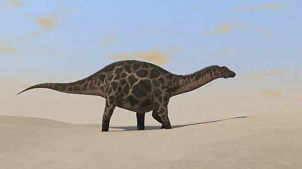 Dicraeosaurus walking across a barren landscape