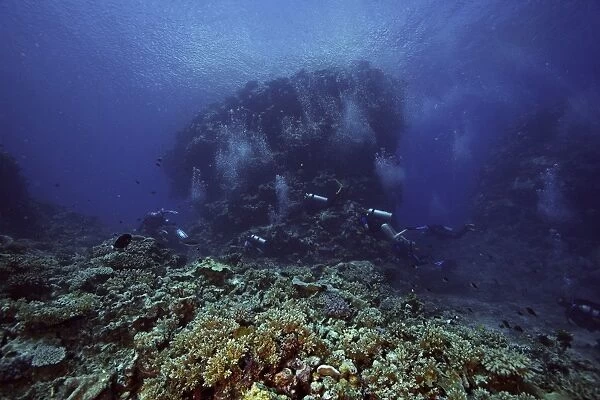 Divers explore Beqa Lagoons beautiful coral reefs, Fiji