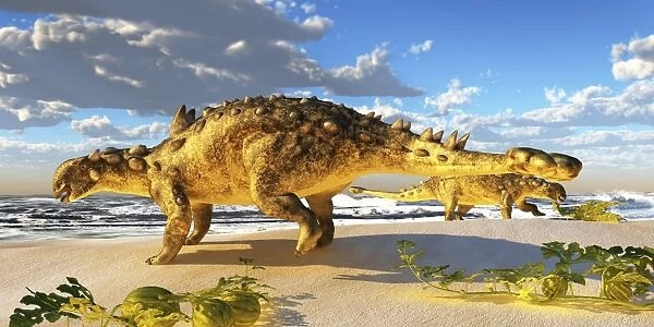 Euoplocephalus dinosaurs munch on melons on an ocean beach