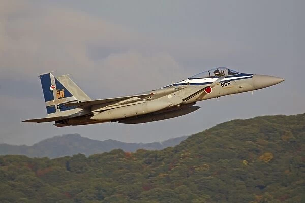 F-15J Eagle of the Japan Air Self Defense Forces Hiko Kyodatai aggressor squadron