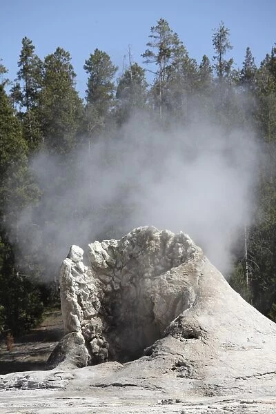 Giant Geyser steaming geyserite cone, Yellowstone National Park, Wyoming