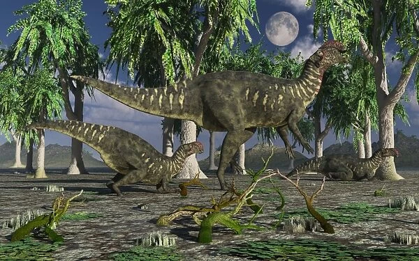 A group of Altirhinus dinosaurs
