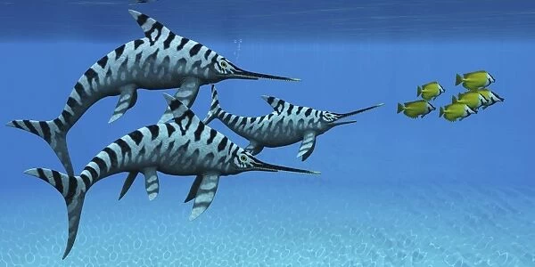 A group of fast swimming Eurhinosaurus marine reptiles