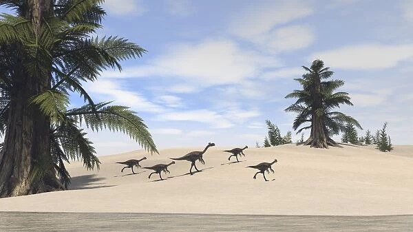 Herd of Gigantoraptors walking along the shore