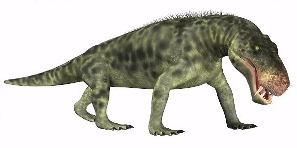 Inostrancevia is a carnivorous reptile that lived during the Permian age