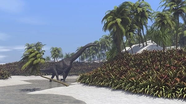 Large Brachiosaurus grazing on tropical plants