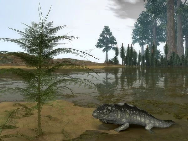 A Late Devonian Ichthyostega emerges from waters of a floodplain