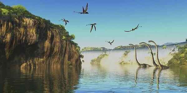 Omeisaurus dinosaurs wade in a river as Dimorphodons fly overhead