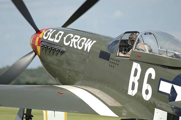 P-51D Mustang in United States Army Air Corps colors