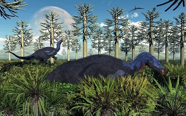 A pair of herbivorous Camptosaurus dinosaurs grazing