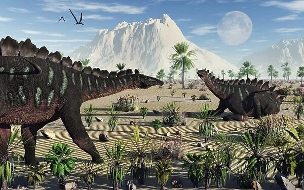 A pair of stegosaurid Miragaia dinosaurs