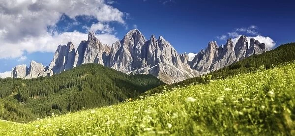 Panoramic view of Dolomite Alps and forest, Northern Italy
