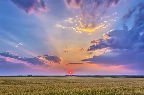 Prairie sunset with crepuscular rays in Alberta, Canada