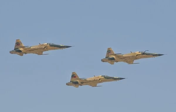 Royal Moroccan Air Force F-5 planes at the Marrakech Air Show in Morocco