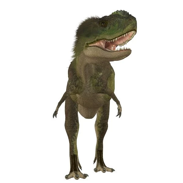 Rugops dinosaur, front view