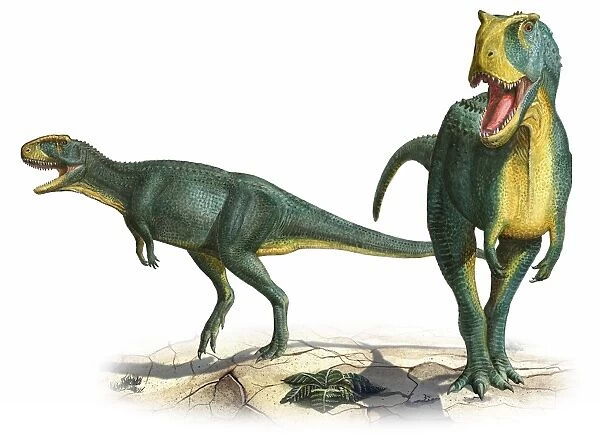 Rugops primus, a prehistoric era dinosaur