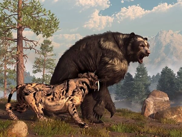 A saber-toothed cat tries to drive a short-faced bear out of its territory