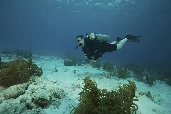 Scuba diver swimming underwater, Bonaire, Caribbea Netherlands