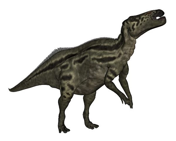 Shantungosaurus dinosaur