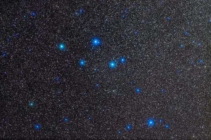 Framed Print : Delphinus Constellation Print Framed Print : Delphinus Constellation Print
