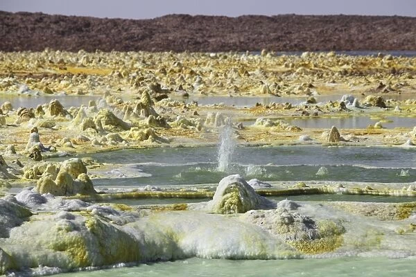 Small geyser amongst potassium salt deposits, Dallol geothermal area, Danakil Depression