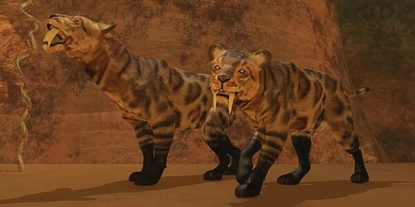 Two Smilodon cats find protection in a vast cave system