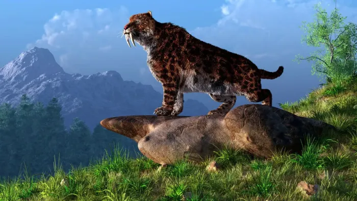 Framed Print : Smilodon Mountain Print Framed Print : Smilodon Mountain Print