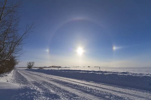 Solar halo and sundogs in southern Alberta, Canada