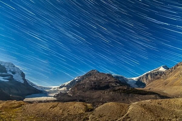 Star Trails over Columbia Icefields