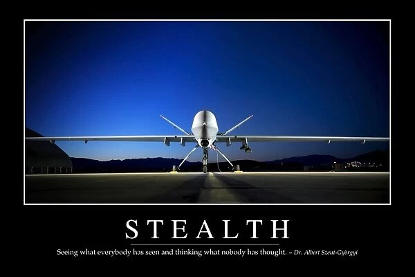 Stealth: Inspirational Quote and Motivational Poster