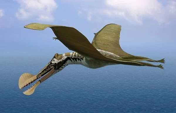 Tropeognathus mesembrinus, a large pterosaur from the Late Cretaceous Period