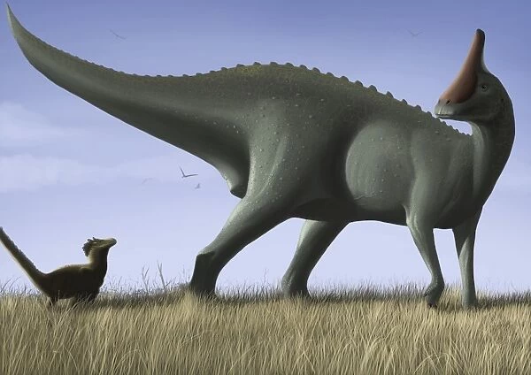 Tsintaosaurus spinorhinus and its offspring in an open field