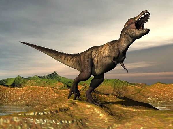 Tyrannosaurus Rex dinosaur walking in desert landscape