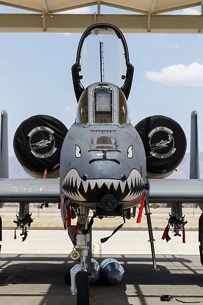 A U. S. Air Force A-10 Thunderbolt II parked at Davis Monthan Air Force Base