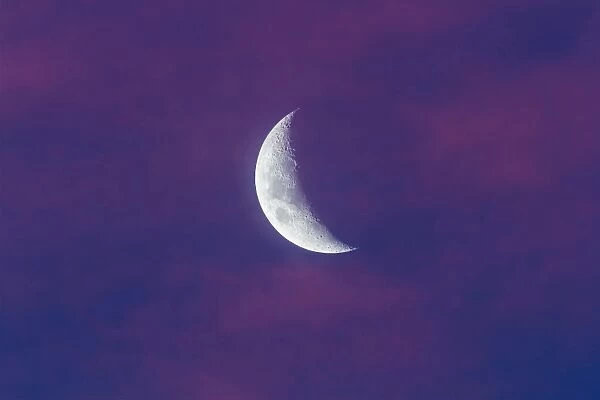 Waxing moon in pink clouds