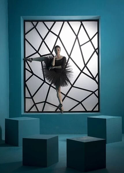 Balerina in The Frame