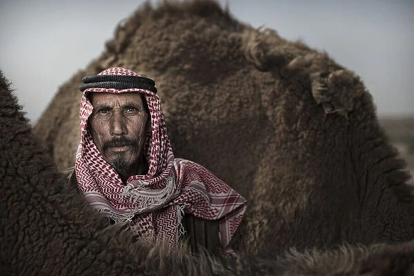 Bedouins of Iraq
