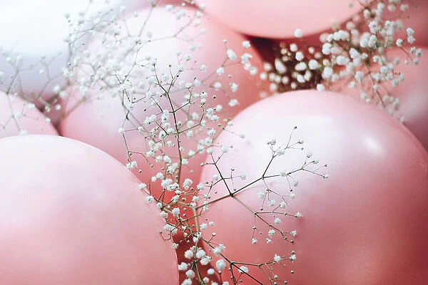 Blooms and Balloons - Focus